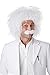 California Costumes Men's E=Mc2 Wig and Moustache Set Einstein Genius Scientist