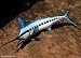 Taxidermy Fiberglass 12 " White Marlin Wall Mount