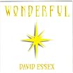 Wonderful