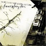 Forever Is Forgotten - The Architecture Is Still Burning
