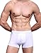 Hoerev Pack of 4 Mens Super Soft And Comfortable Fiber Briefs Trunks Underwear，4Black，L