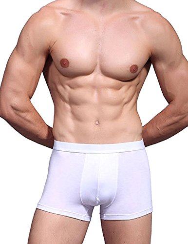 Hoerev Men's Bamboo Fiber Briefs (Pack of 4)