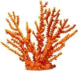ORNAMENT - BLACK OCTOPUS CORAL XXL ORANGE