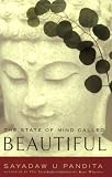 The State of Mind Called Beautiful
