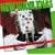 New Wave Xmas: Just Can't Get Enough