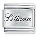 Edwardian Script Font Name Liliana Gift Laser