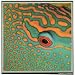 Parrot Fish Portrait--Matt Bailey Oceania Jigsaw