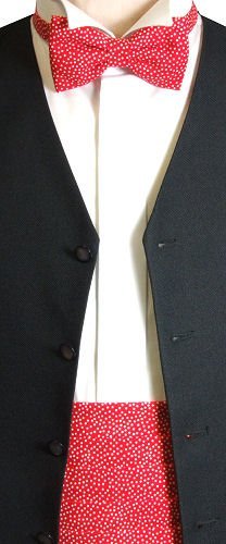 Swagger & Swoon Small White Dots Red Cummerbund / Bow Tie Set