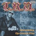 Understanding the Criminal Mind