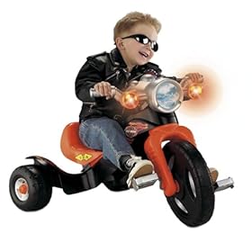 Harley Davidson trike. Yes, I said Harleyd Davidson Trike