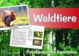 Waldtiere - Fotokarten mit Sachinfos title=