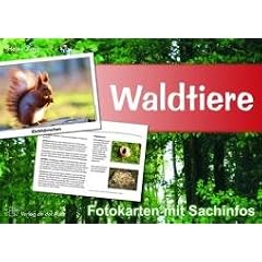 Waldtiere - Fotokarten mit Sachinfos