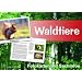 Waldtiere - Fotokarten mit Sachinfos