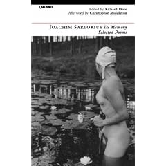 Ice Memory: Selected Poems