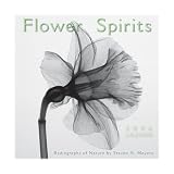 Flower Spirits