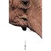 Zoo Music: Poems