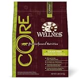Wellness Grain-Free Dry Dog Food for Adult Dogs, CORE Reduced Fat, 26 lb. Bag