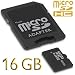 SDHC 16GB Speicherkarte / 16gb micro sd karte *** Geschwindigkeit Class 6*** f�r Ihr Sony Ericsson Xperia Ray inkl. dem Original YAYAGO Clean-Pad