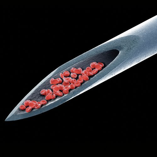Peter Gabriel-Live Blood-2CD-2012-SO Download