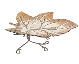 Kitchen & Housewares : Danya B MN941 Large Glass Tray on Stand L:18.5 Inch, W:12 Inch, H:9 Inch