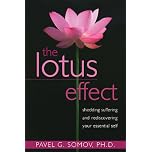 The Lotus Effect