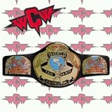 WCW TAG TEAM CHAMPIONSHIP KID SIZE REPLICA WRESTLING BELT