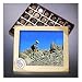 Mountain Biking 1 Lb. Assorted Chocolates Mountain Biking 1 Lb. Assorted Chocolates