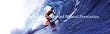 Window Graphic - 16x54 In the Tube Window Graphics Surf n Snow