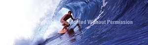 Window Graphic - 16x54 In the Tube Window Graphics Surf n Snow