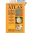 Dr. Burgess's Mini-Atlas of Marine Aquarium Fishes