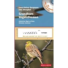 Grundkurs Vogelstimmen: Heimische V�gel an ihren Stimmen erkennen