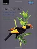 The Bowerbirds: Ptilonorhynchidae (Bird Families of the World)