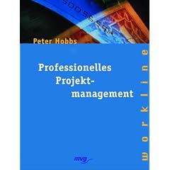 Professionelles Projektmanagement