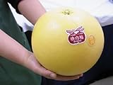 熊本県八代特産 ”晩白柚” ばんぺいゆ 秀品 Lサイズ 約1.5～1.8kg