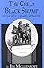 The Great Black Swamp: Historical Tales of 19Th-Century Northwest Ohio (Great Black Swamp)