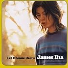 Click here to buy Let It Come Down by James Iha .