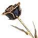 Long Stem Dipped 24k Gold Trim Black Rose In Gold Gift Box