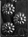 FLOWER SOAP BAR Flowers, Fruits & Vegitables Candy Mold Chocolate
