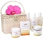 Pure Fiji Tropical Bodycare Basket - Pineapple