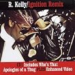 Ignition Remix [CD 1]
