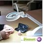 LAMPE LOUPE - N�on Daylight Fluorescent