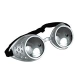Silver Aviator Goggles