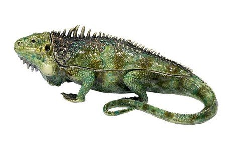 Iguana Decorative Box