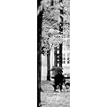 Unframed Posters - Romance "Paris Umbrella" (12 x 36")