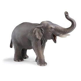 Schleich 14144  - Wild Life, Elefante asiatico