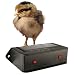 Solar Nite Eyes - Predator Protection System