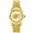Game Time Men's University Of Florida Alumni Series Watch #CO-FLA