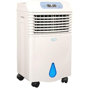 NewAir AF-321 Portable Evaporative Swamp Air Cooler With Built-In Air Purifier