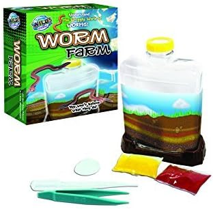 Wild Science Worm Farm by Tree Toys