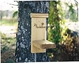 Audubon Squirrel Ear Corn Holder (4'' x 6'' x 8'')